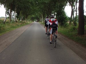 RTF Alpe d'Seevetal  288